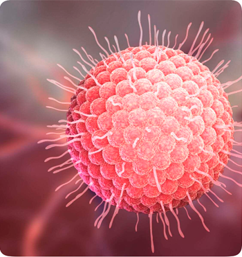 Fertilidad Funcional